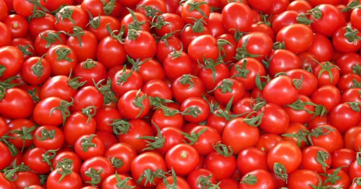 Tomato Price Hike : సెంచరీ కొట్టిన టమాటా ధర.. ప్రభుత్వం ఏమంటుందంటే?