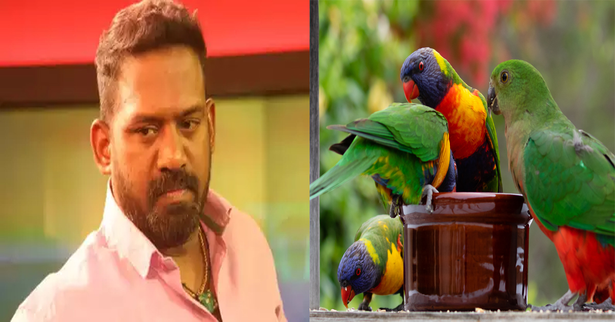 Robo Shankar : నటుడు రోబో శంకర్‌కు భారీ జరిమానా !