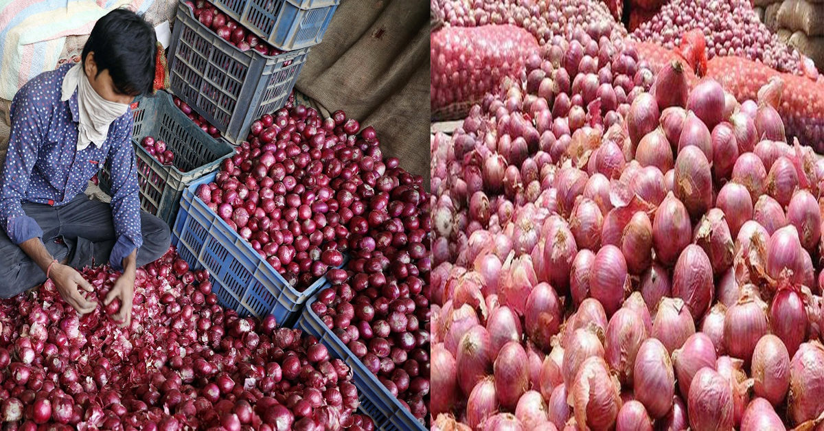 Onion Price Rise: ముందుంది ఉల్లి ధర ఘాటు