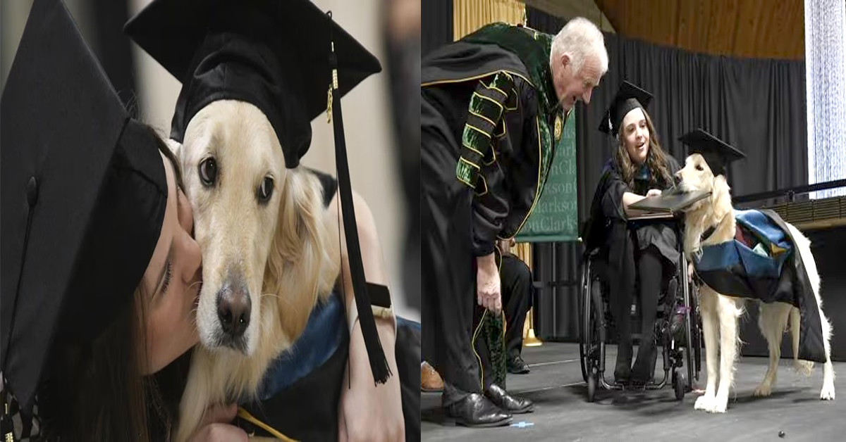 Dog received diploma degree : డిప్లొమా డిగ్రీ అందుకున్న కుక్క..వీడియో వైరల్