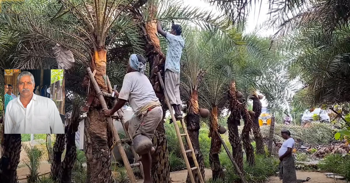 Eetha Vanam: సిటీకి దగ్గరలో ఈత వనం, 2 వేల చెట్లు.. ఈత, నీరా, కర్జూర కల్లు