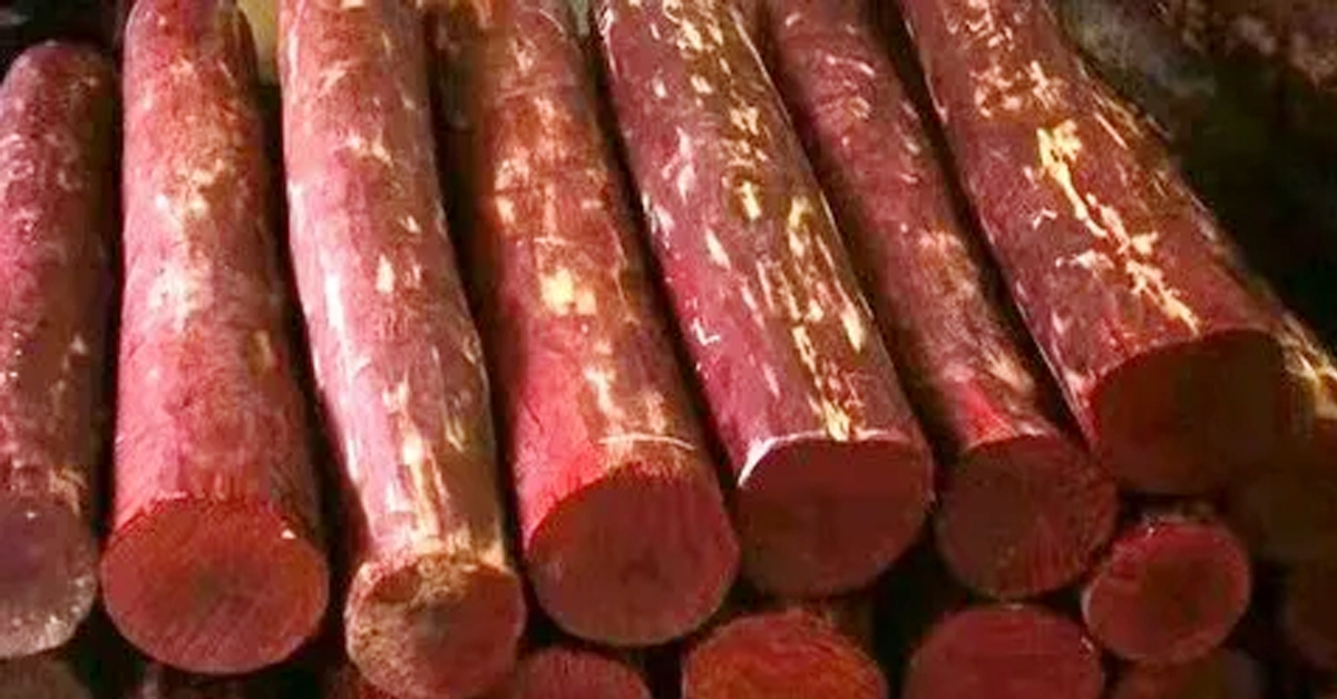 Red sandalwood: హైవేపై ఎర్రచందనం స్మగ్లింగ్.. అడ్డంగా దొరికిన 16 మంది