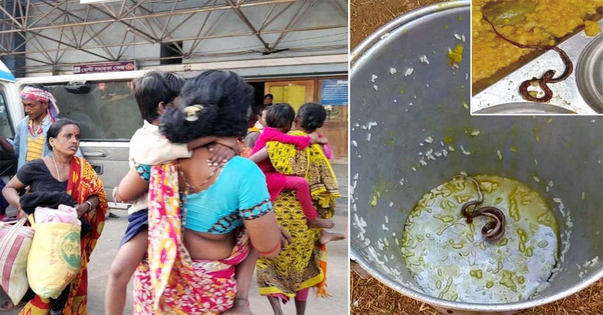 Mid Day Meal: మధ్యాహ్న భోజనంలో పాము..ఆస్పత్రిలో 100 మంది విద్యార్థులు!