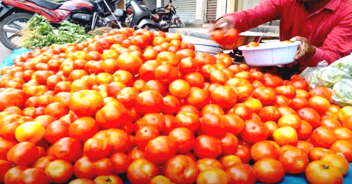 Tomato Prices: పెరిగిన సాగు.. తక్కువ ధరకే దొరుకుతున్న టమాటాలు