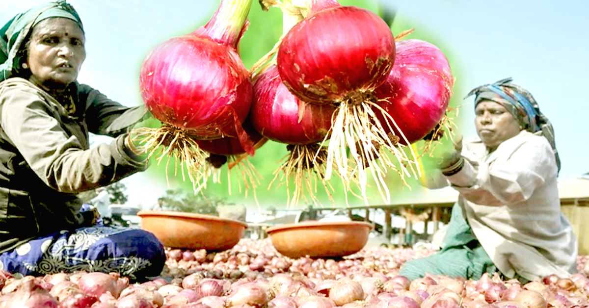 Onion Prices: సబ్సిడీపై ఉల్లిని అమ్మనున్న ఏపీ సర్కార్