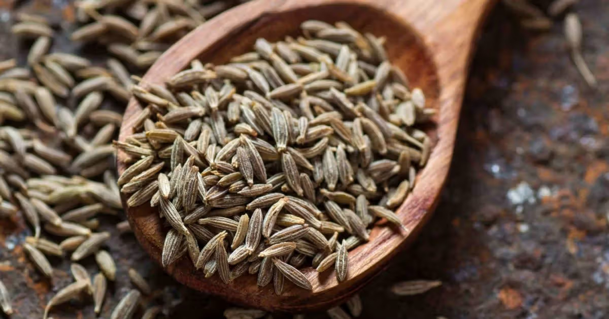Cumin seeds: జీలకర్ర వల్ల ఎన్ని ప్రయోజనాలు ఉన్నాయో తెలుసా?