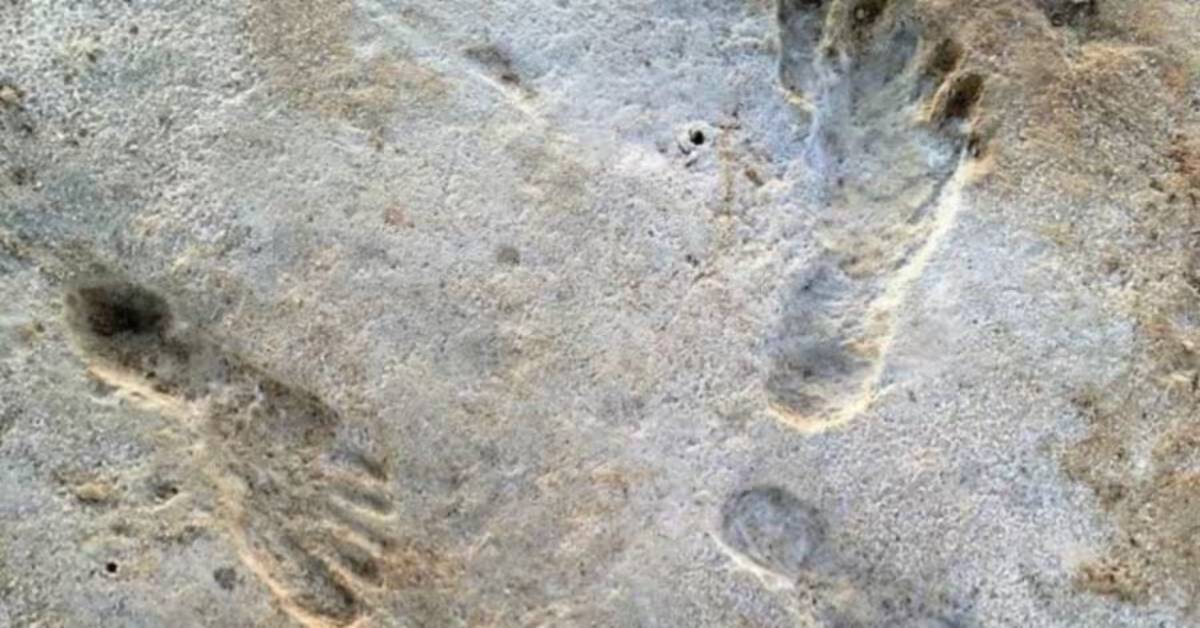 Old Footprints : లక్ష సంవత్సరాల నాటి కాళ్ల ముద్రలను కనుగొన్న సైంటిస్టులు