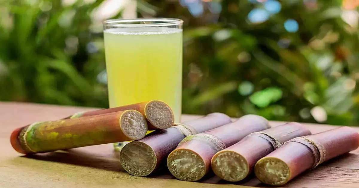 Sugarcane Juice:  చెరుకు రసం తాగుతున్నారా.. వీళ్లు తప్పకుండా గుర్తు పెట్టుకోండి