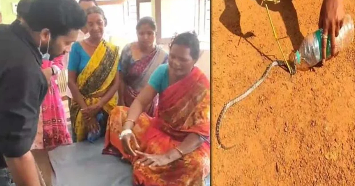 Warangal : కాటేసిన పాముతో ఆసుపత్రికి వచ్చిన మహిళ!