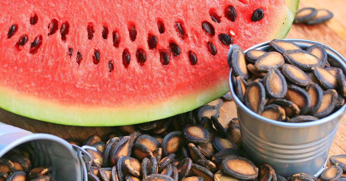 Watermelon Seeds : పుచ్చకాయ తిని గింజలు పడేయకండి!