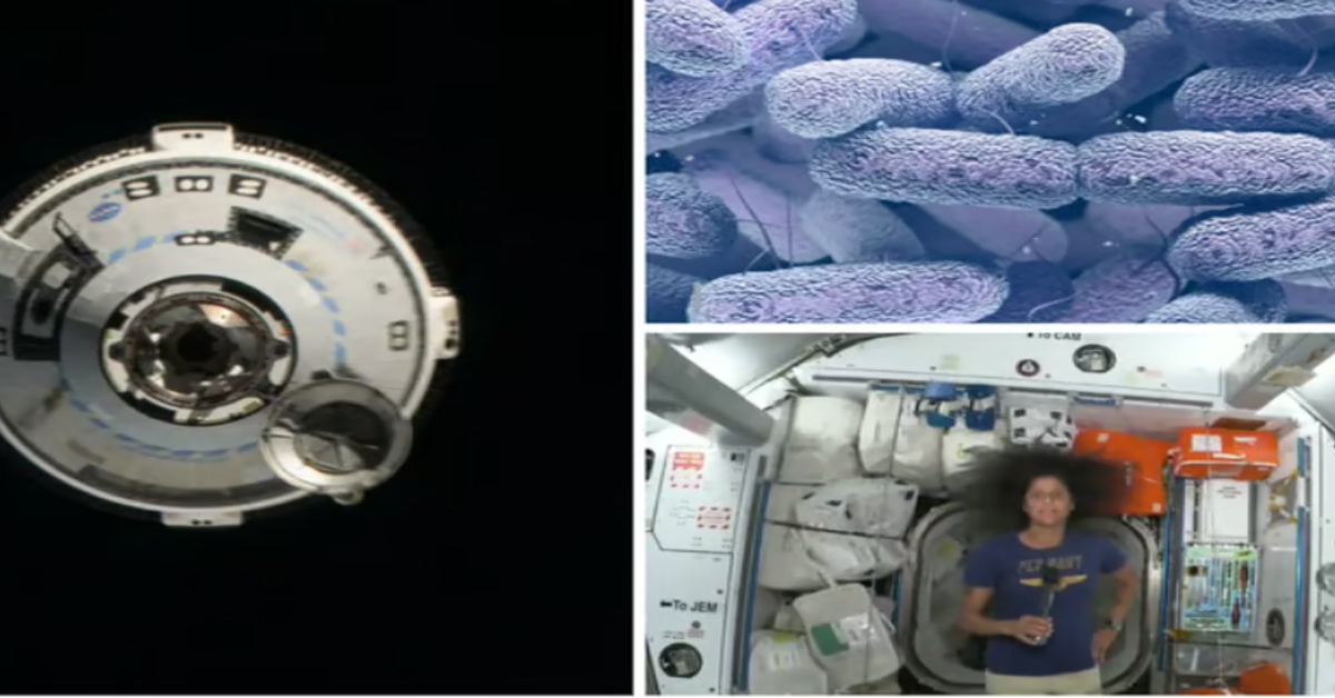 Spacebug: స్పేస్‌ స్టేషన్‌లో ఏ మందులకూ లొంగని స్పేస్‌ బగ్‌! ఆస్ట్రోనాట్‌లకు డేంజరే!