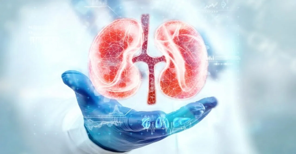 Kidneys: కిడ్నీలను కాపాడే ఫుడ్స్ ఇవి..!