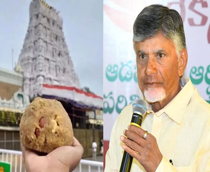 BREAKING: లడ్డూ అపవిత్రంపై సిట్ ఏర్పాటు