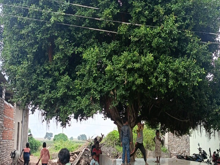 ప్రమాదకరంగా కరెంటు వైర్లు