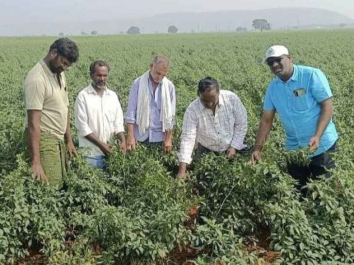 ‘రేపటి నుంచి పొలం పిలుస్తుంది కార్యక్రమం’