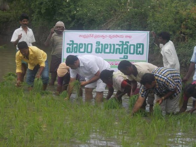 నేటి నుంచి ‘పొలం పిలుస్తోంది’ కార్యక్రమం