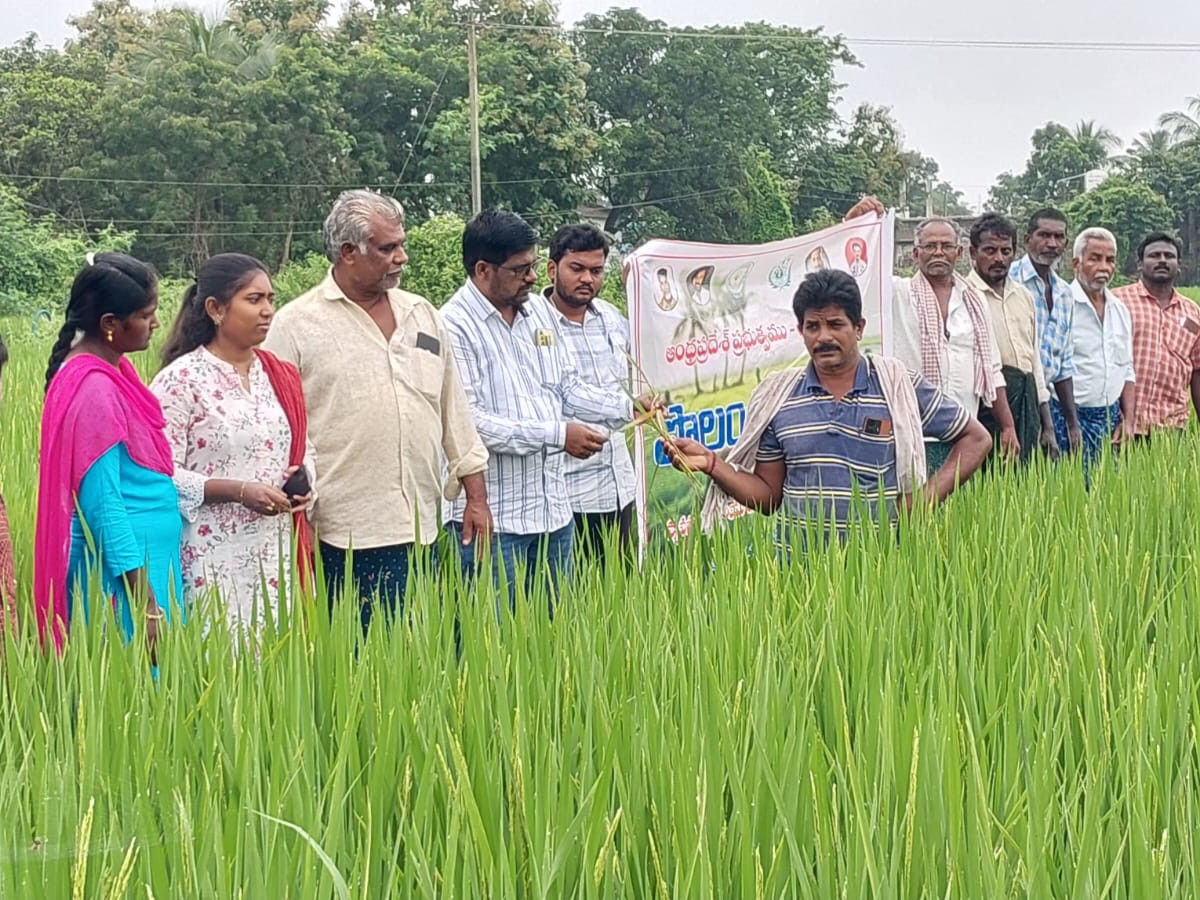 ‘పొలం పిలుస్తోంది కార్యక్రమం’