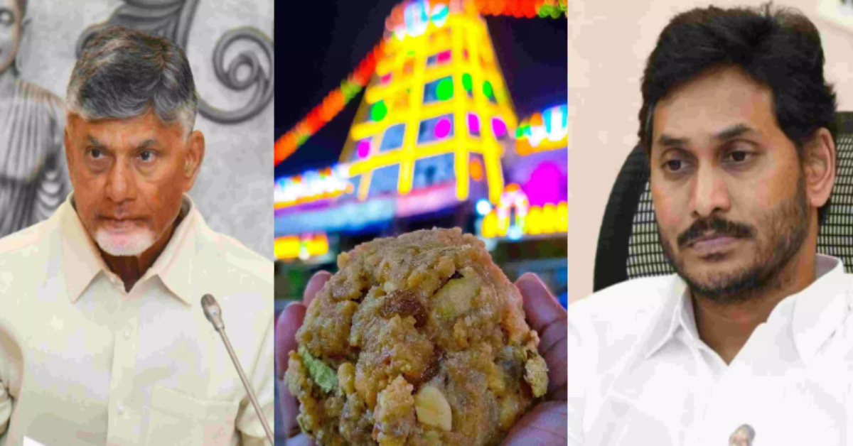 Tirumala Laddu: నిజంగానే జంతువుల కొవ్వు వాడారా?