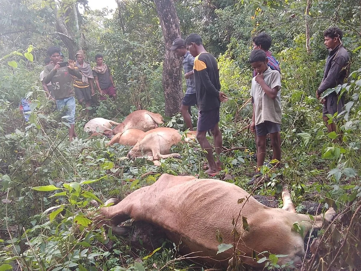 ఒకే రైతుకు చెందిన 8 మూగజీవాలు మృత్యువాత