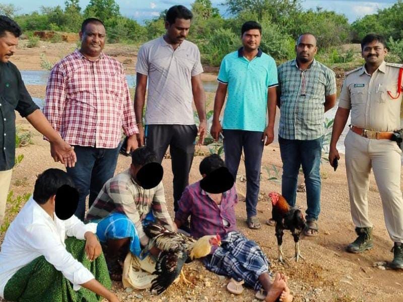 కోడిపందాల స్థావరాలపై  దాడి చేసిన పోలీసులు