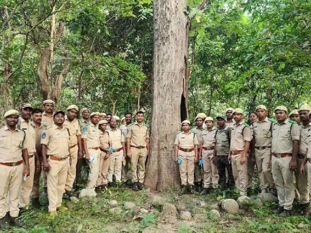 బెజ్జూర్ రేంజ్‌ను సందర్శించిన ట్రైనీ FBOలు