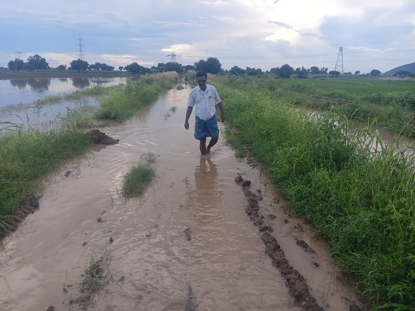 సంతమాగులూరు మండలంలో మిరప రైతులు ఆవేదన