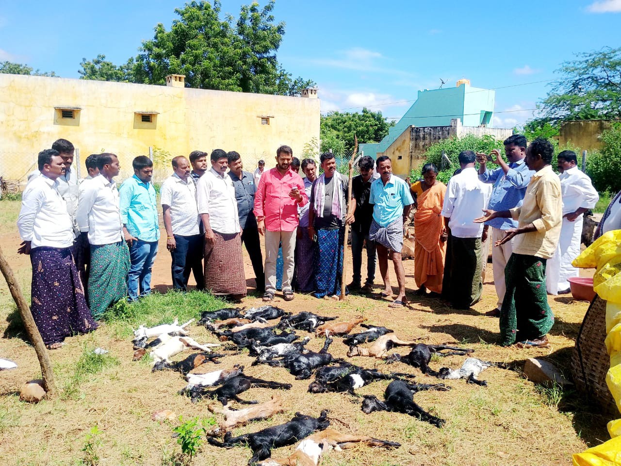 పిడుగుపాటుకు 35 మేక పిల్లల మృతి