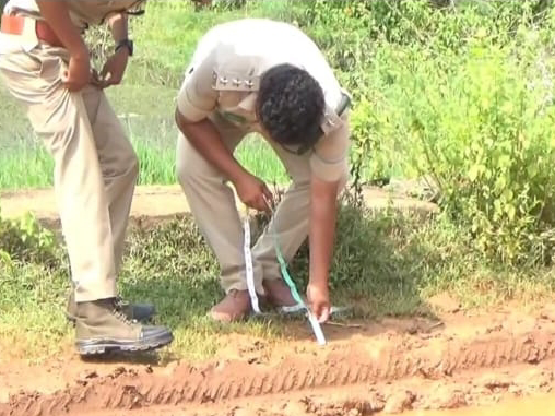 చిరుత పాదముద్రలు గుర్తించిన అటవీశాఖ అధికారులు