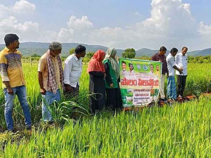 ‘ఎరువులు, పురుగు మందులు వినియోగించరాదు’