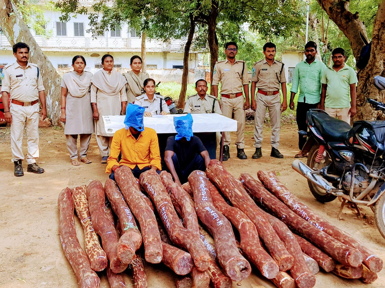 ఇద్దరు ఎర్రచందనం దొంగలు అరెస్ట్