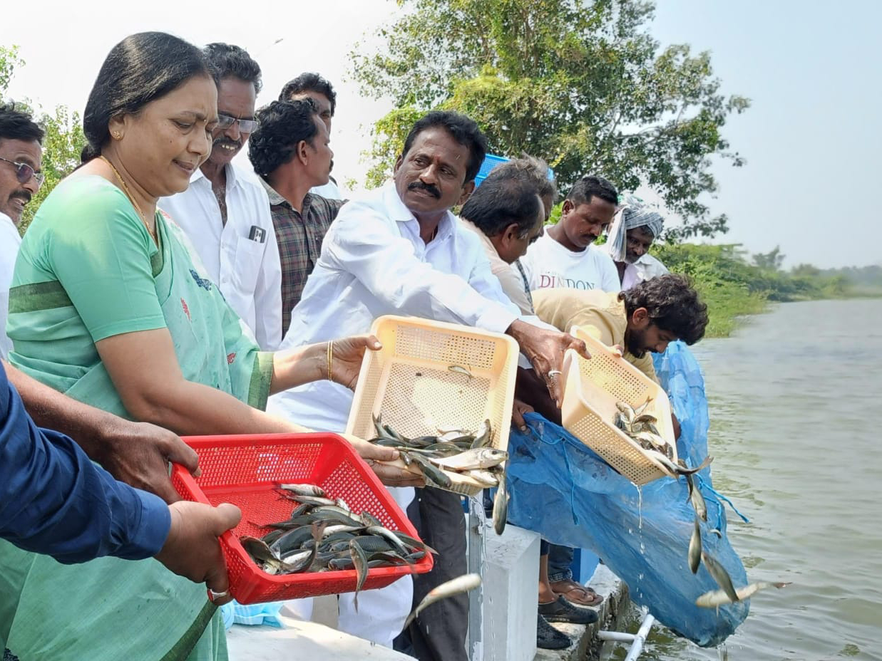 చెరువులో చేప పిల్లలను విడుదల చేసిన అధికారులు