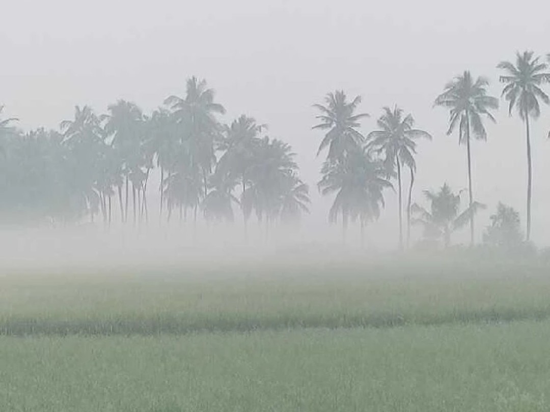 దట్టంగా అలుముకున్న పొగమంచు