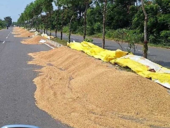 రోడ్లపై వడ్ల కుప్పలు.. వాహనదారులకు తిప్పలు