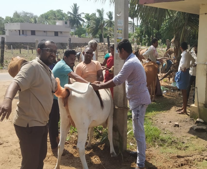 నేటి నుంచి రాష్ట్రంలో ఉచిత పశువైద్య శిబిరాలు