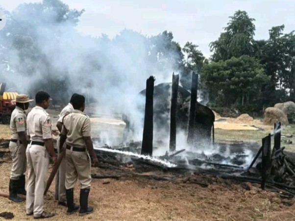 ముకుందపురంలో గడ్డివాములు దగ్ధం