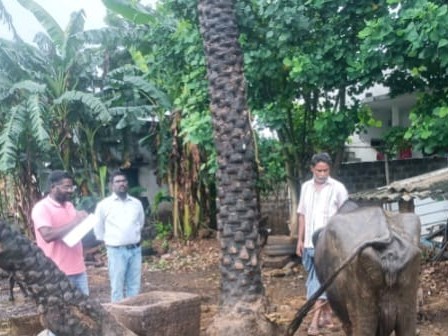 కొనసాగుతున్న పశుగణన