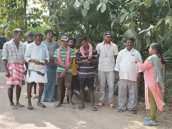 జీడిపంటల బీమా సద్వినియోగం చేసుకోవాలి