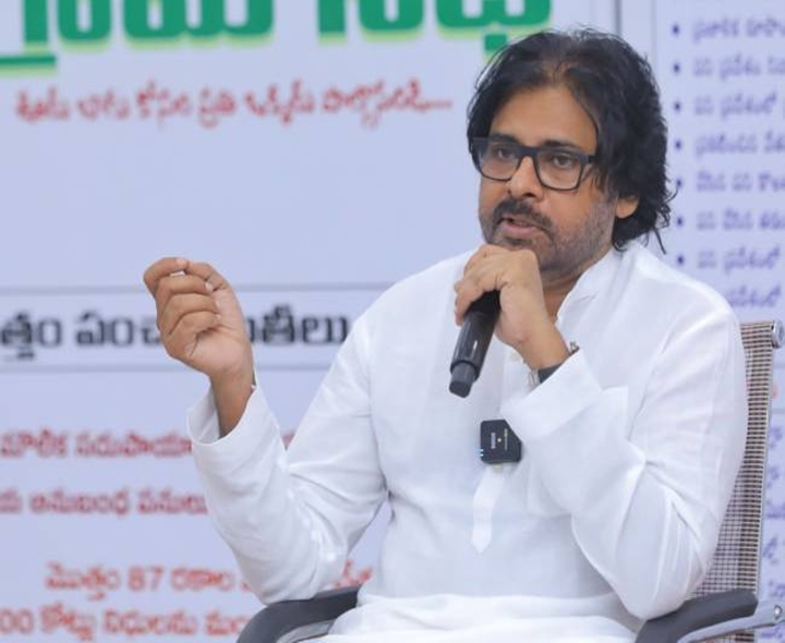 ఉపాధి పథకం నిధుల మళ్లింపుపై విచారణ: పవన్‌