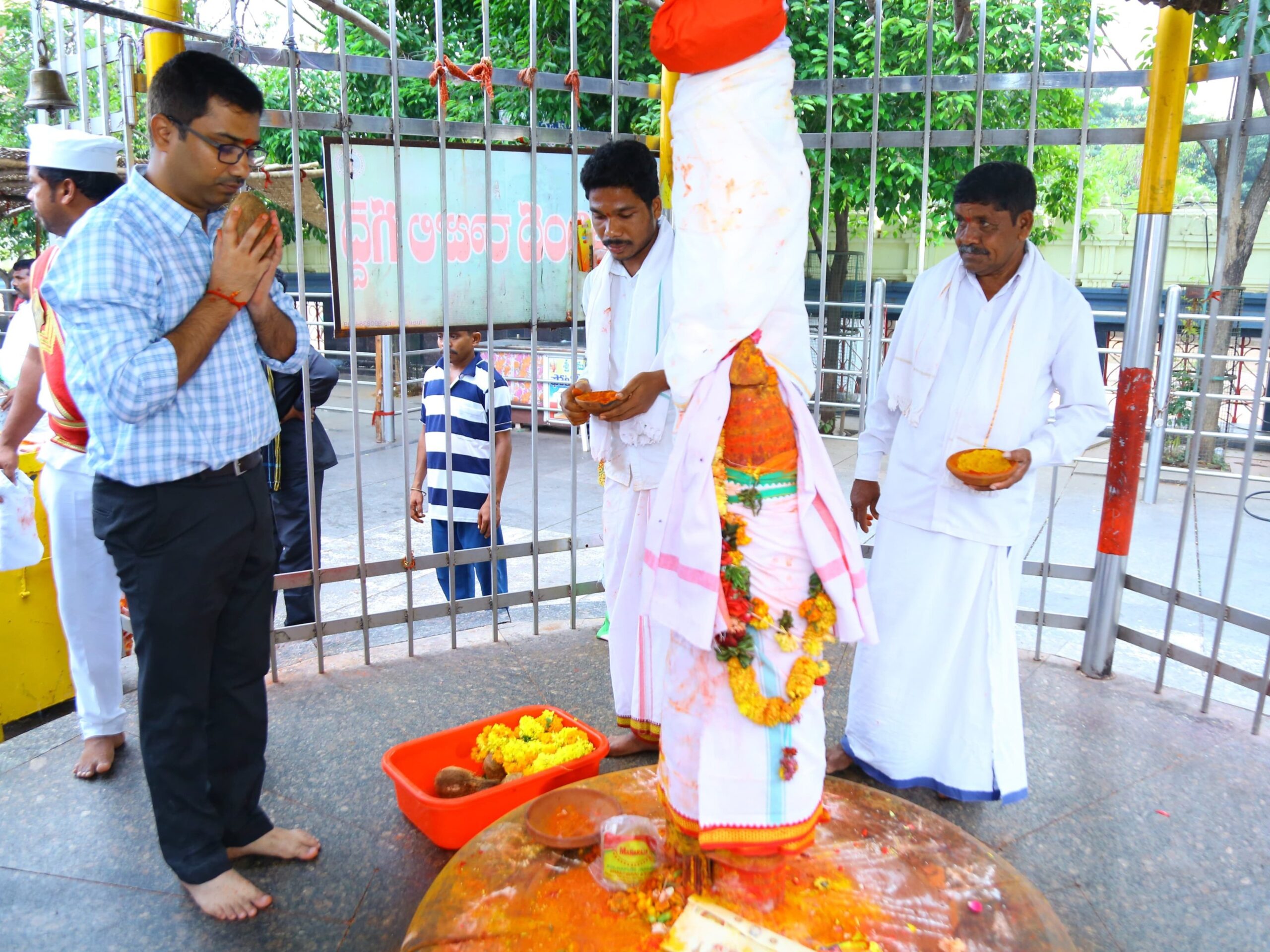 సమ్మక్క-సారలమ్మలను దర్శించుకున్న కలెక్టర్