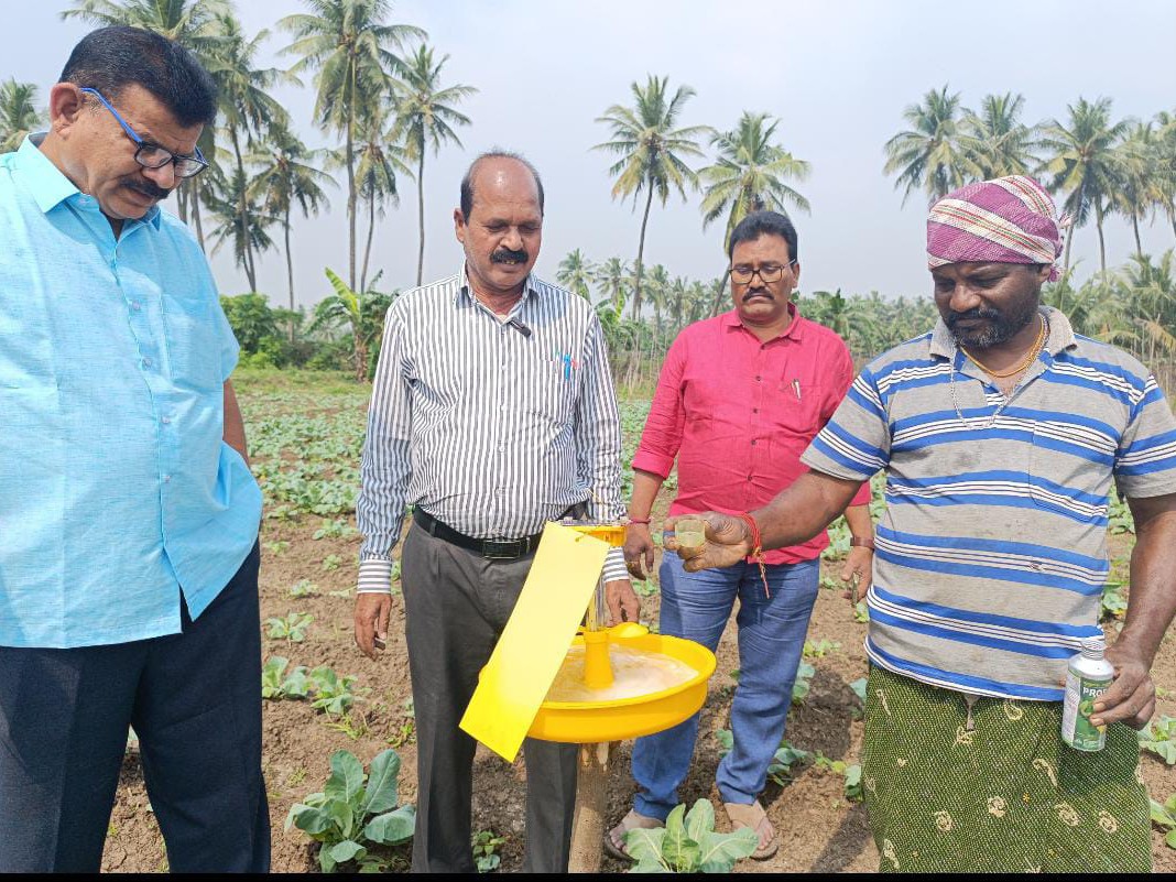 కూరగాయల పొలాలను సందర్శించిన అధికారులు