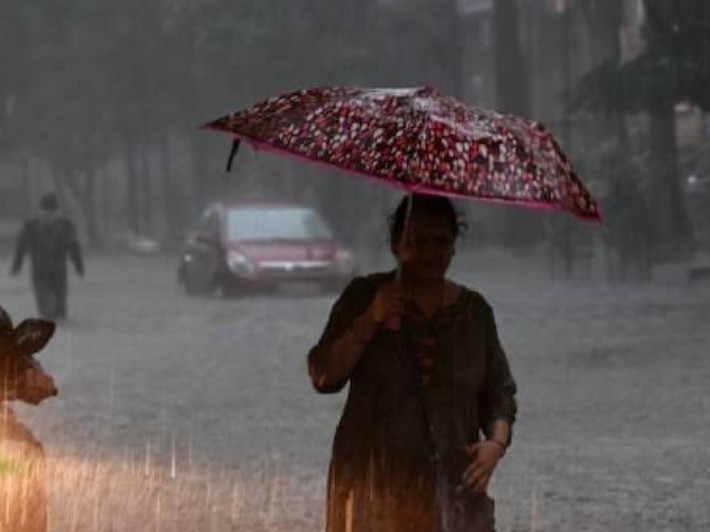 విజయనగరం నియోజకవర్గంలో వర్షపాత వివరాలు