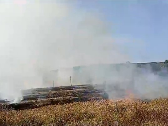 ఎవరో పెట్టిన మంటతో కాలి బూడిదైన వడ్లు