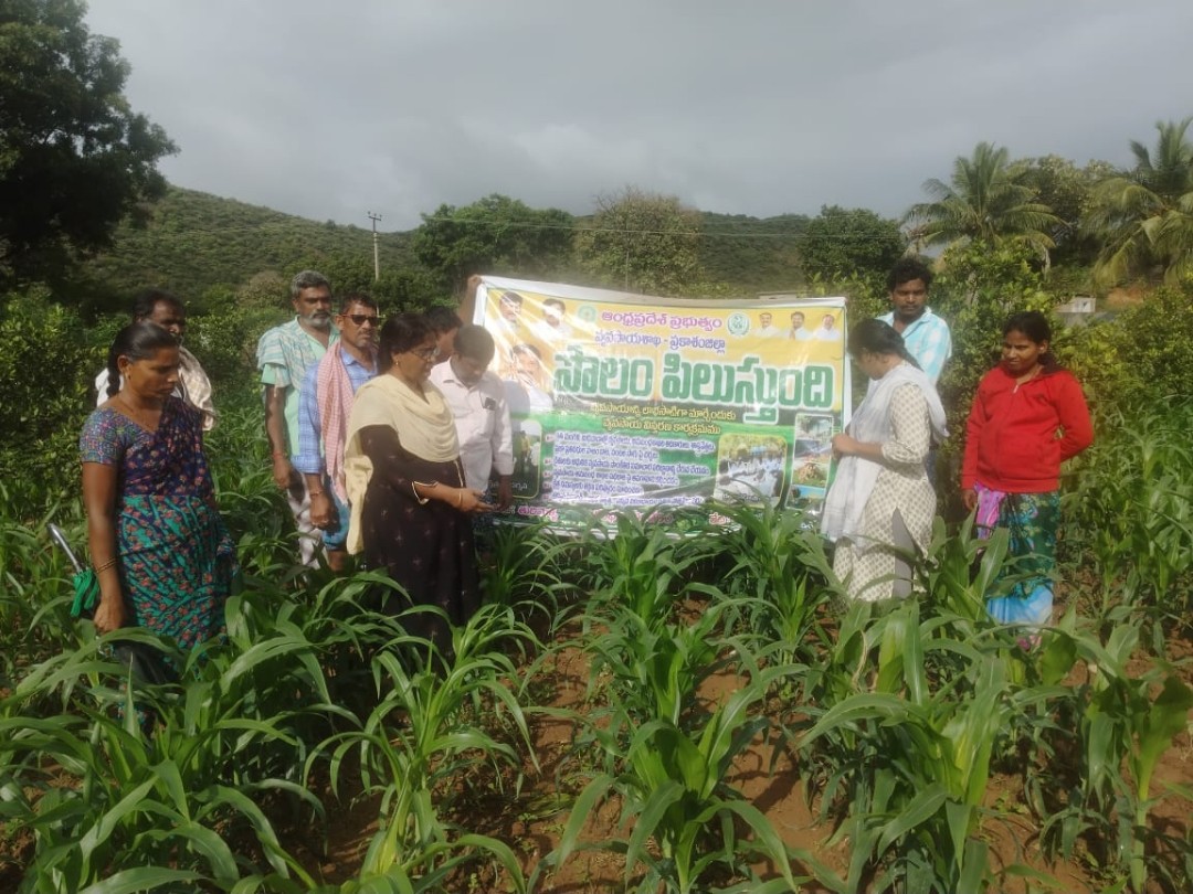 కంభం మండలంలో పొలం పిలుస్తుంది కార్యక్రమం