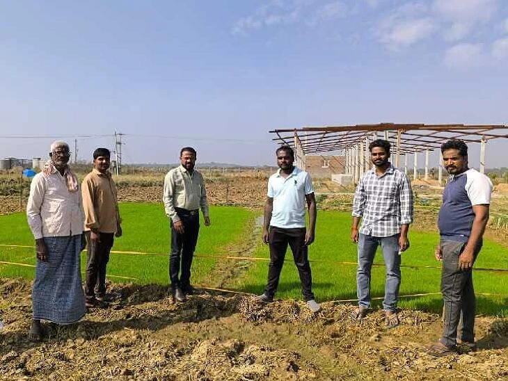 వరి నారు సంరక్షణ చర్యలు చేపట్టాలి: ఏడీఏ