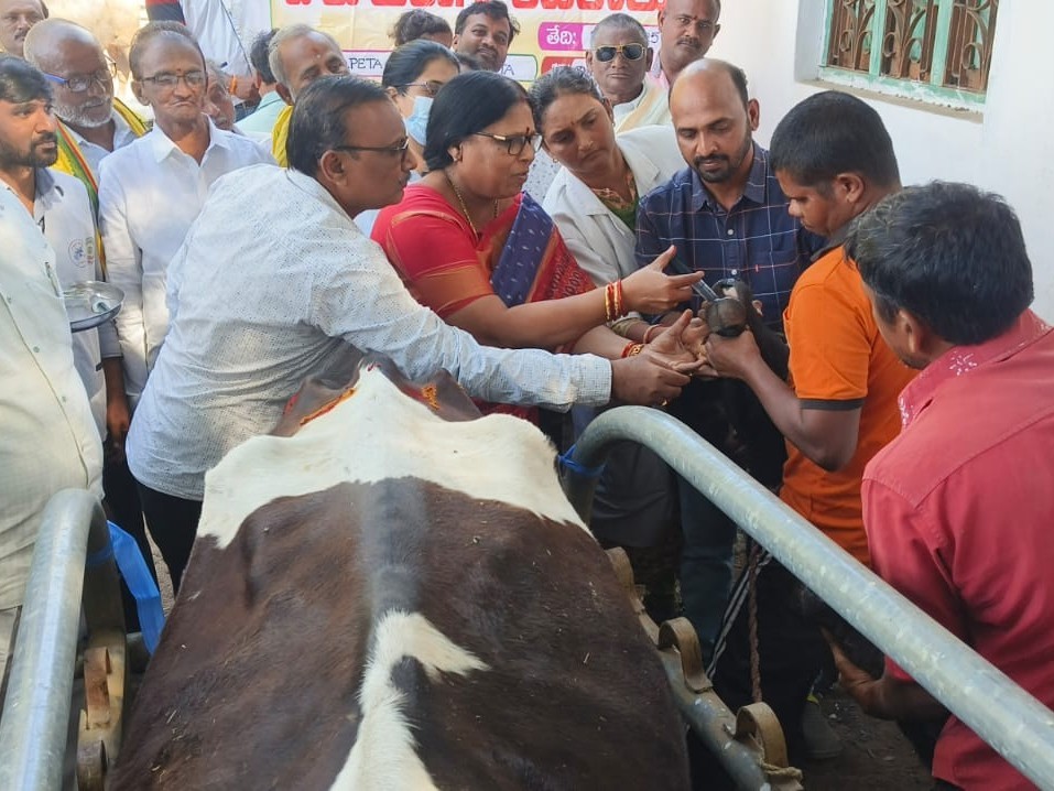 మెగా ఉచిత పశు వైద్య శిబిరాన్ని ప్రారంభించిన ఎమ్మెల్యే కోళ్ల లలిత