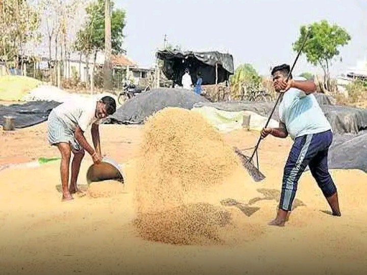 మరికొన్ని మండలాల్లో ధాన్యం కొనుగోళ్లకు అనుమతి