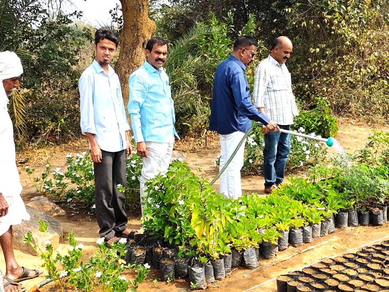 మొక్కల సంరక్షణ సక్రమంగా చేపట్టాలి : ఆర్డీవో