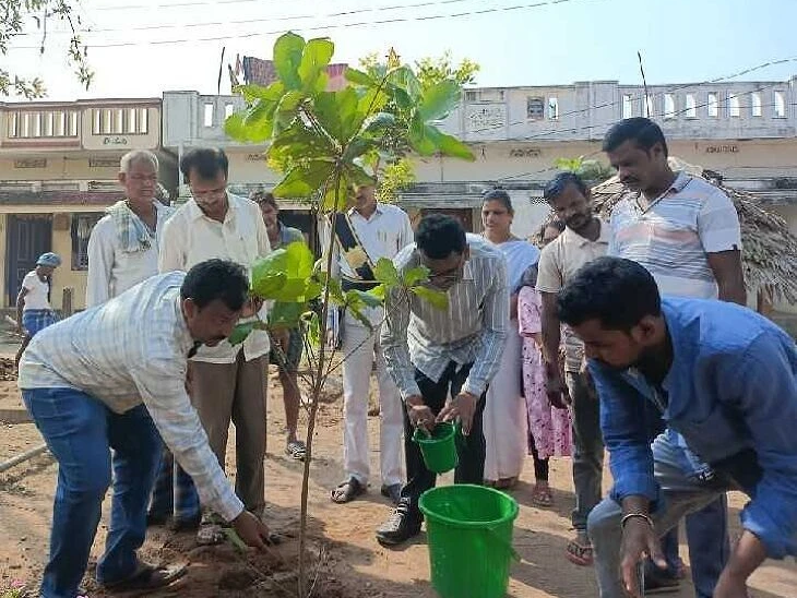 లావేరులో మొక్కలు నాటిన జెడ్పీ సీఈవో