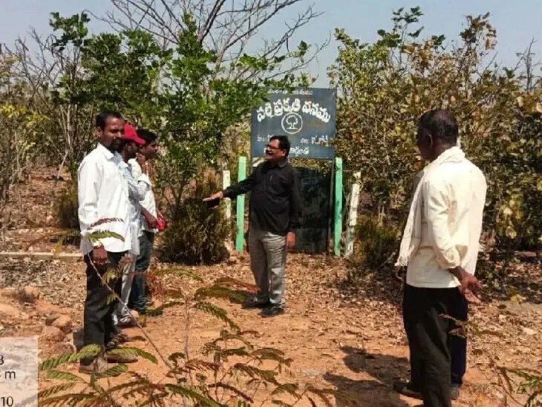 పల్లె ప్రగతి పనులను పరిశీలించిన ఎంపీడీఓ