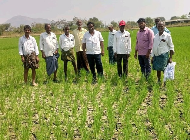 లంకా సాగర్ నుంచి కట్లరుకు నీరు వదలాలి: సీపీఎం